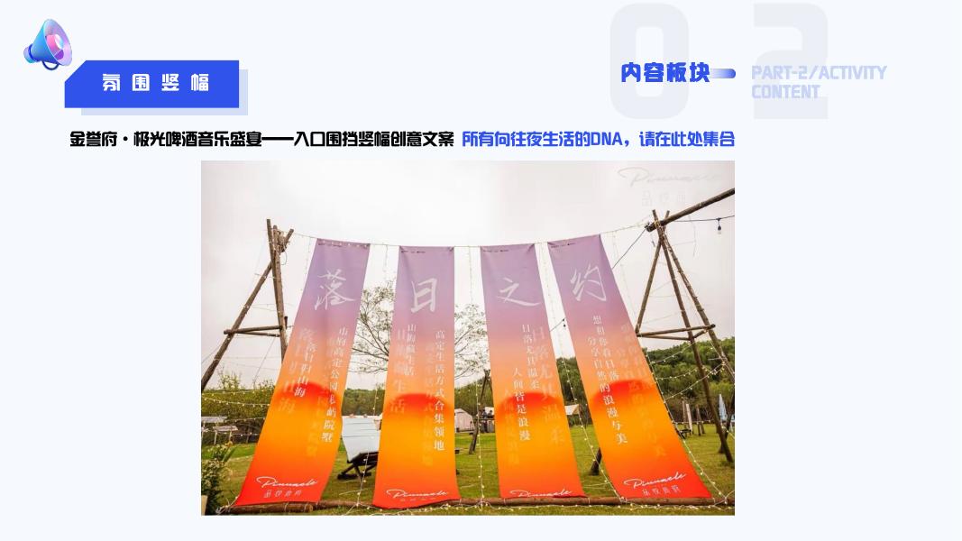 金誉府极光啤酒音乐节活动方案_第8页