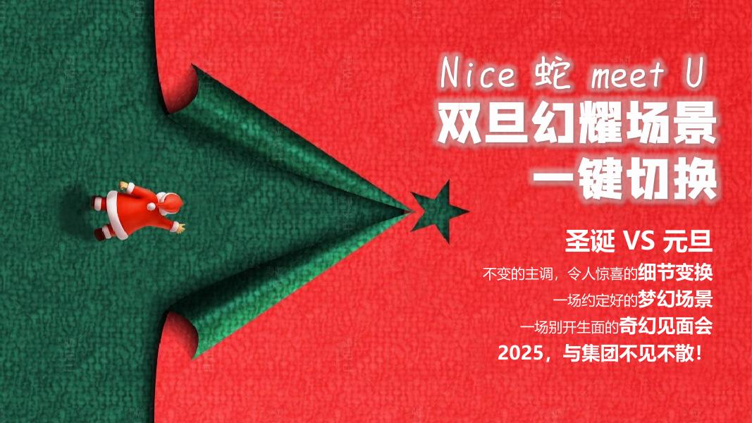 2025年蛇年双旦系列暖场活动方案_第6页