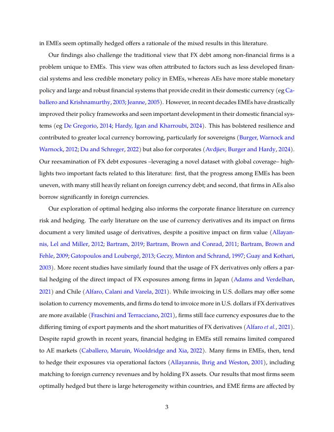 国际清算银行：外汇债务与最优汇率套期保值（英文版）_第6页