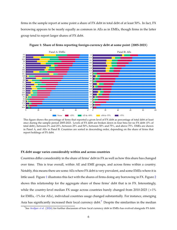 国际清算银行：外汇债务与最优汇率套期保值（英文版）_第9页