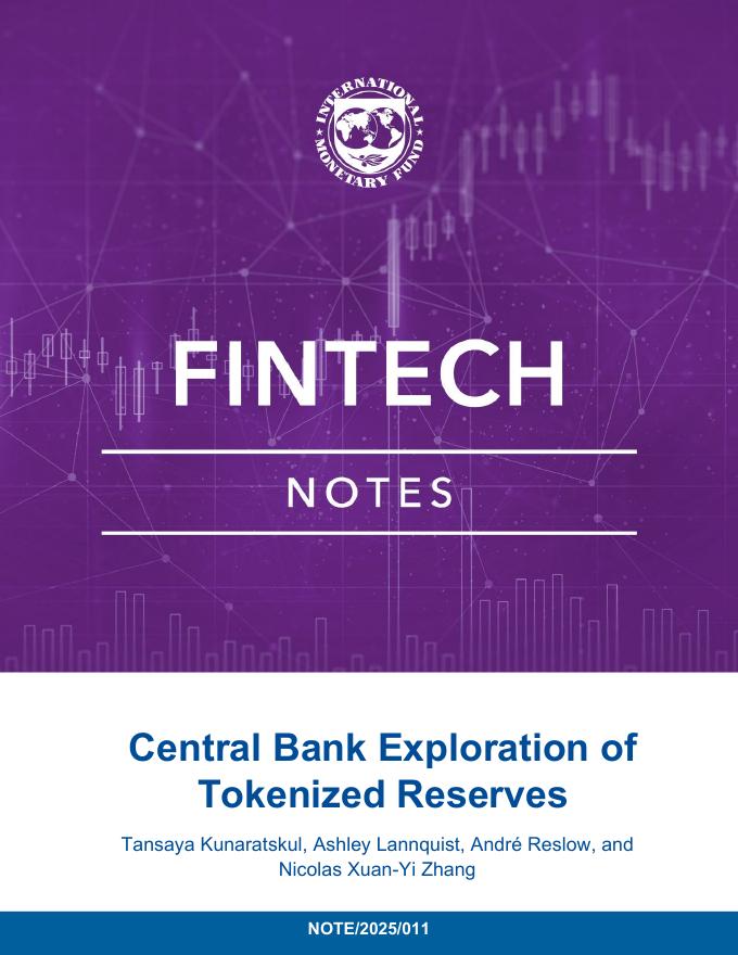 国际货币基金组织：2025年央行探索代币化储备报告（英文版）海报
