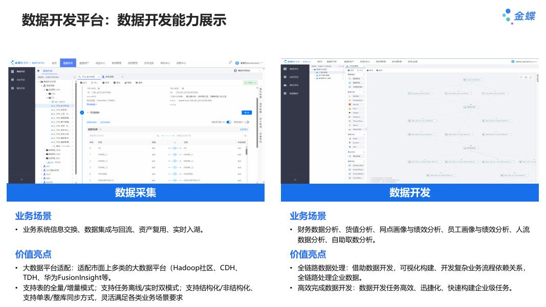 金蝶AI苍穹 数据治理解决方案_第8页