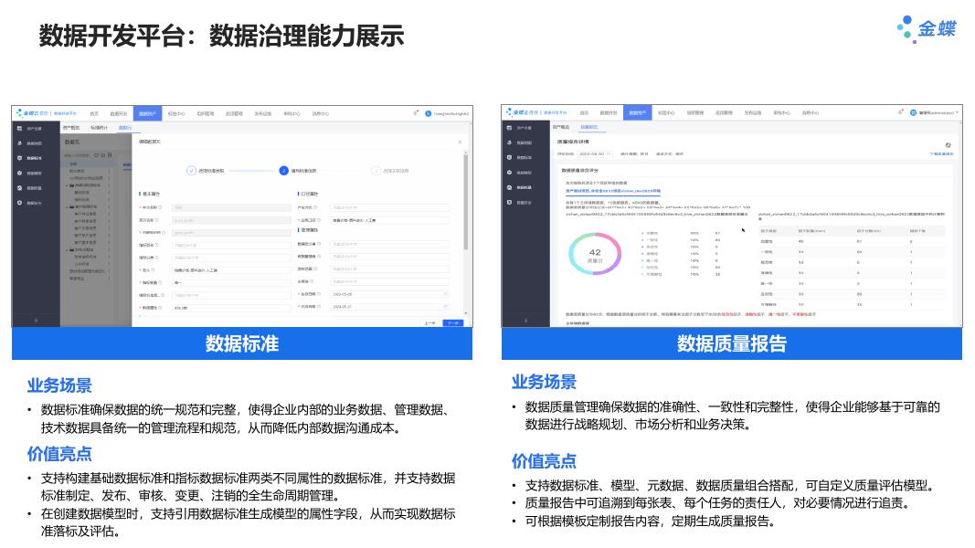 金蝶AI苍穹 数据治理解决方案_第9页