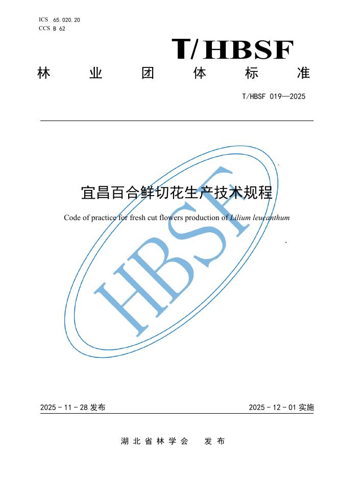 T/HBSF 019-2025 宜昌百合鲜切花生产技术规程
