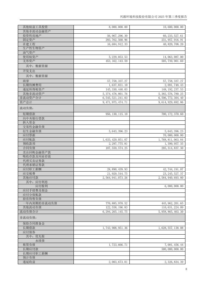 300266-兴源环境：兴源环境科技股份有限公司2025年第三季度报告(更正后)_第8页