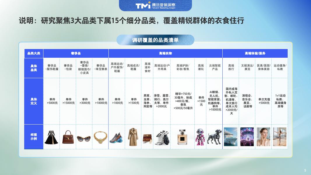 腾讯营销洞察：中国精锐人群生活方式洞察报告（2025年版）_第6页