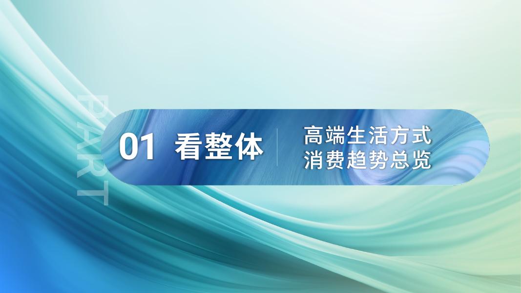 腾讯营销洞察：中国精锐人群生活方式洞察报告（2025年版）_第10页