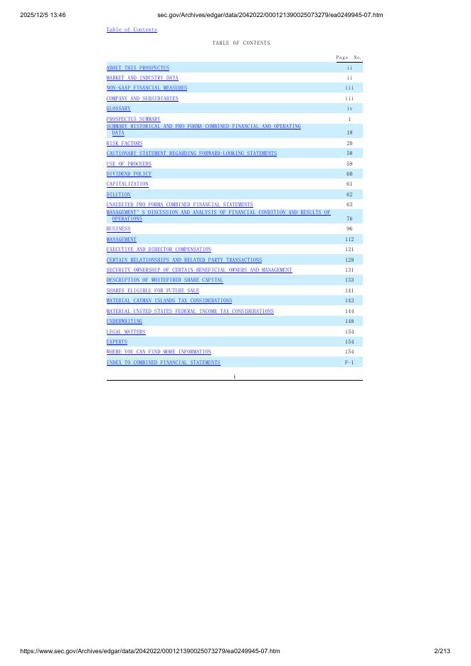 WhiteFiber, Inc.美股纳斯达克IPO上市招股说明书_第2页
