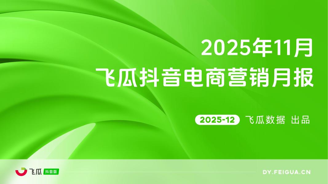 飞瓜数据：2025年11月飞瓜抖音电商营销月报海报