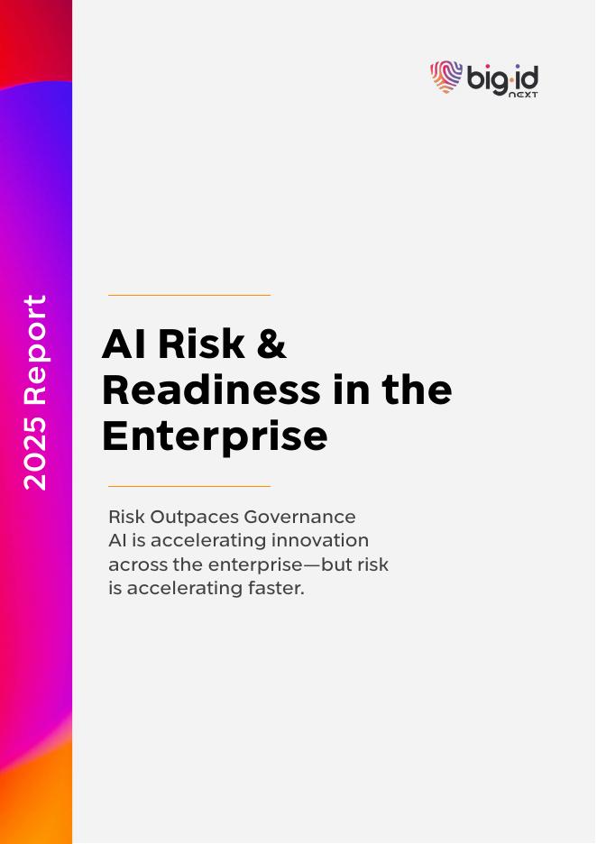 bigid：2025年企业AI风险与准备度：治理滞后于扩张的警讯报告（英文版）海报