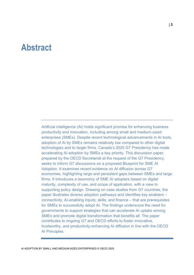 OECD经合组织：2025年中小企业采用人工智能-经合组织G7讨论文件（英文版）_第3页