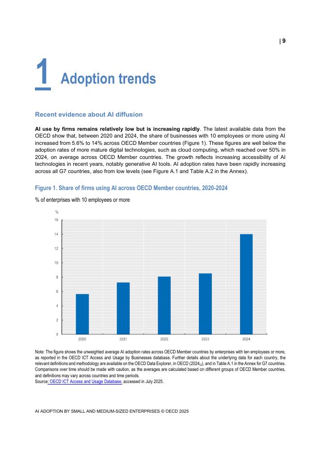 OECD经合组织：2025年中小企业采用人工智能-经合组织G7讨论文件（英文版）_第9页