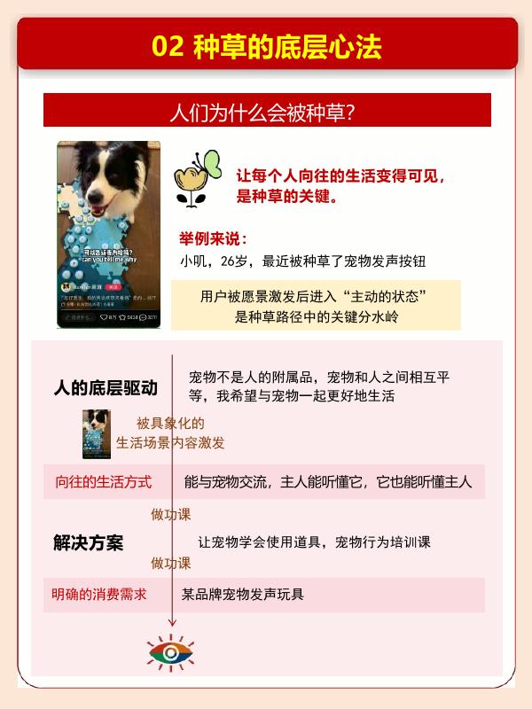 2025小红书种草营销手册_第9页