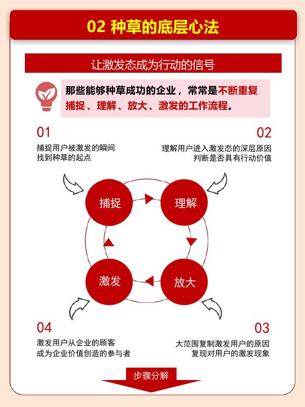 2025小红书种草营销手册_第10页