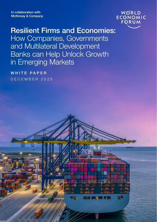 世界经济论坛：20255年韧性企业与经济体：企业、政府与多边开发银行如何助力解锁新兴市场增长白皮书（英文版）海报