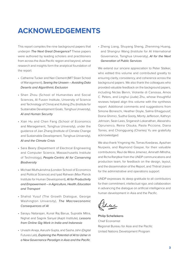 联合国开发计划署UNDP：2025年下一次大分流：为何人工智能可能加剧国别间的不平等报告（英文版）_第4页