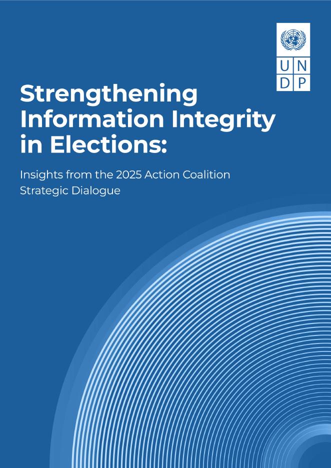 联合国开发计划署UNDP：2025年绘制影响图并告知经济弹性报告（英文版）海报