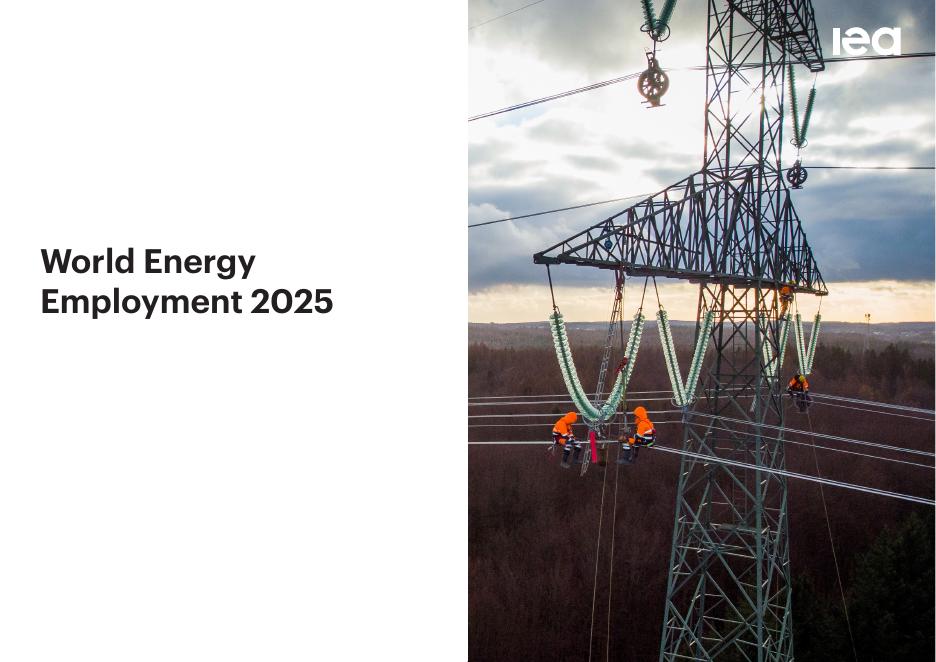 国际能源署：2025年世界能源就业报告（英文版）海报