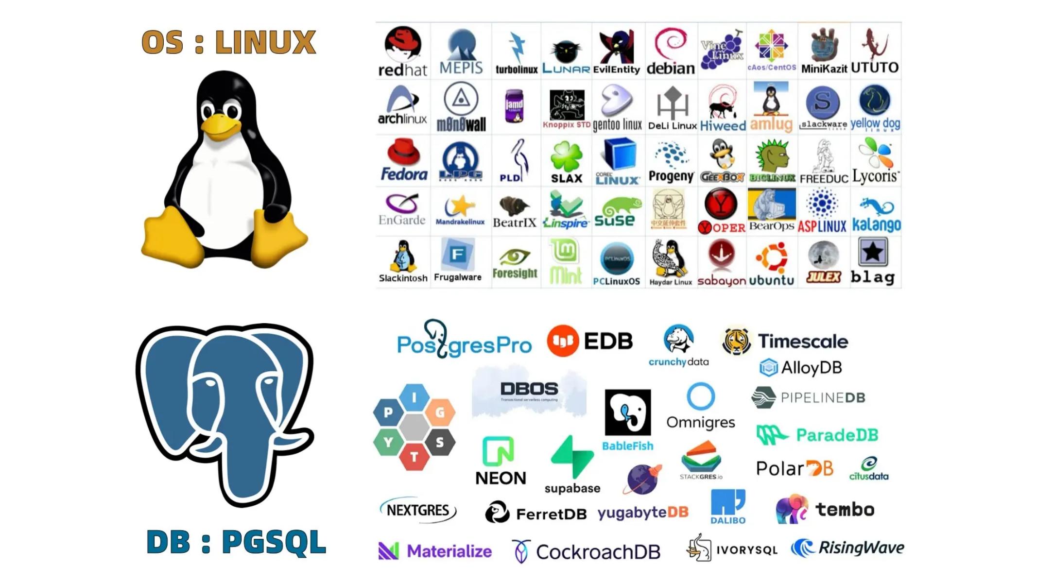 冯若航：打造一个立足中国面向世界的PostgreSQL发行版_第6页