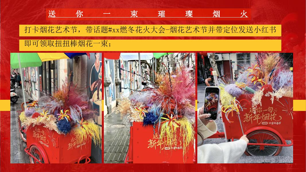 璀璨烟花派对-圣诞&新年迎新活动策划方案_第9页