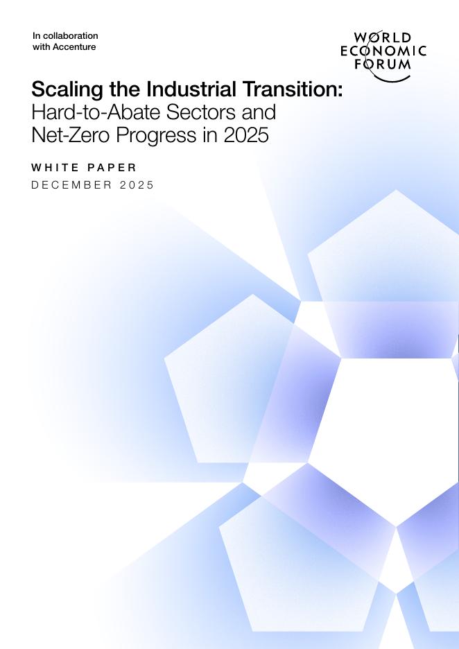 世界经济论坛：扩大产业转型：2025年难以削减的行业和净零进展报告（英文版）海报