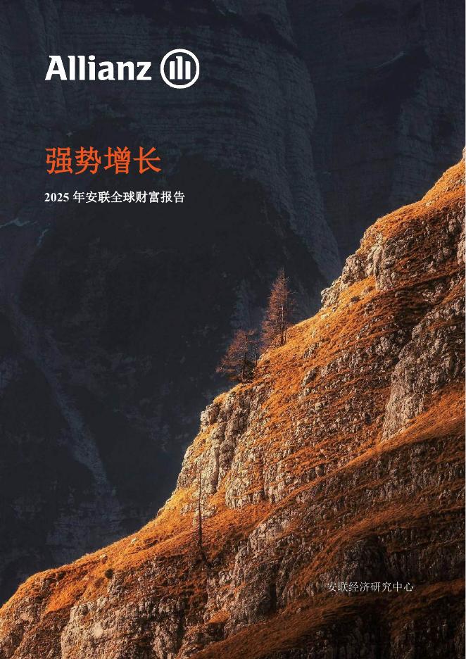 安联：2025年全球财富报告：强势增长