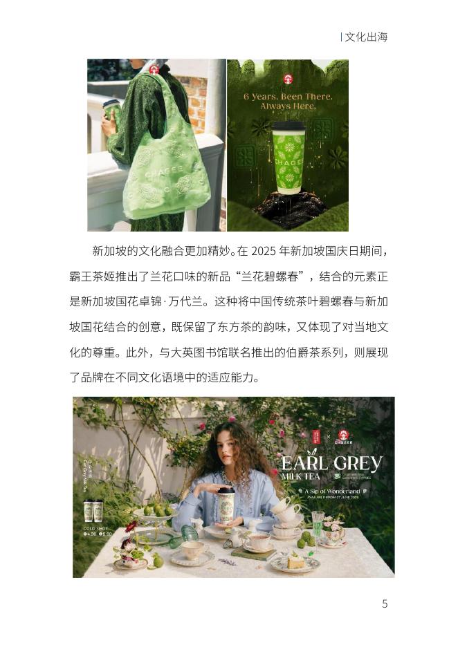 上海虹桥国际中央商务区：虹桥出海案例集_第9页