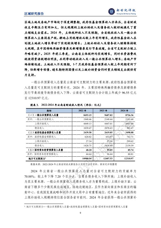 新世纪评级：云南省及下辖各州市经济财政实力与债务研究（2025）_第9页