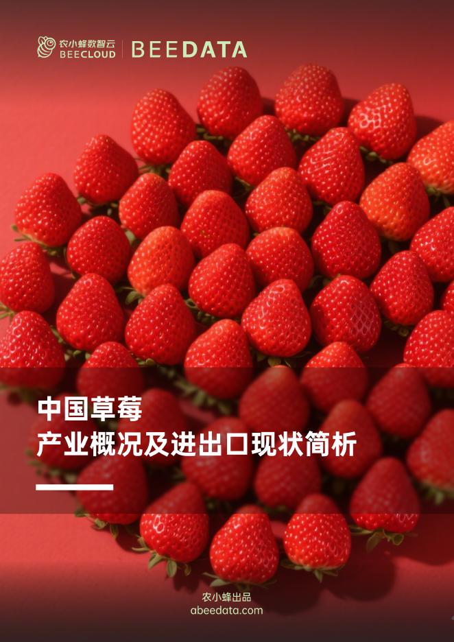 农小蜂：2025年中国草莓产业概况及进出口现状简析报告海报