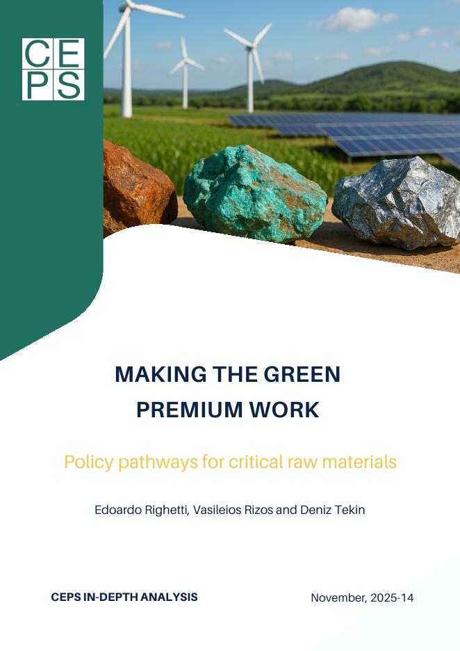 欧洲政策研究中心（CEPS）：2025年让绿色溢价发挥作用：关键原材料的政策路径报告（英文版）海报