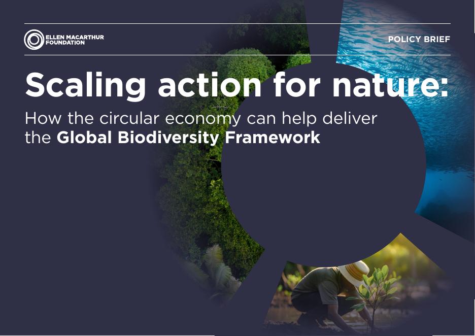 艾伦·麦克阿瑟基金会：2025年为自然缩放行动：循环经济如何帮助实现全球生物多样性框架报告（英文版）海报