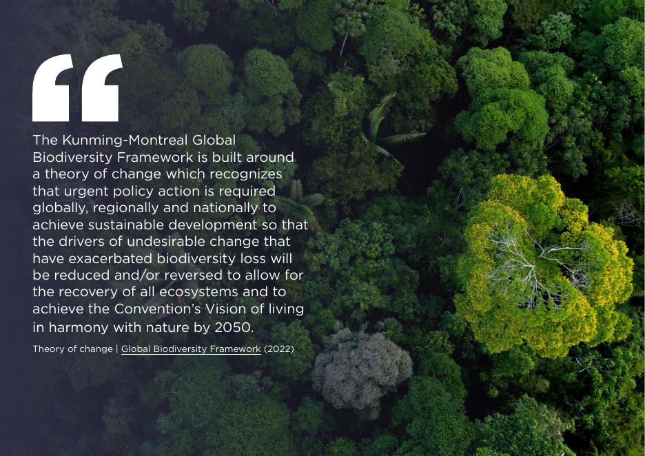 艾伦·麦克阿瑟基金会：2025年为自然缩放行动：循环经济如何帮助实现全球生物多样性框架报告（英文版）_第2页