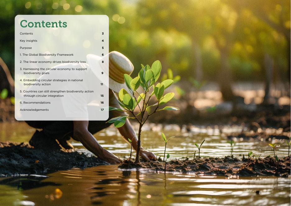 艾伦·麦克阿瑟基金会：2025年为自然缩放行动：循环经济如何帮助实现全球生物多样性框架报告（英文版）_第3页