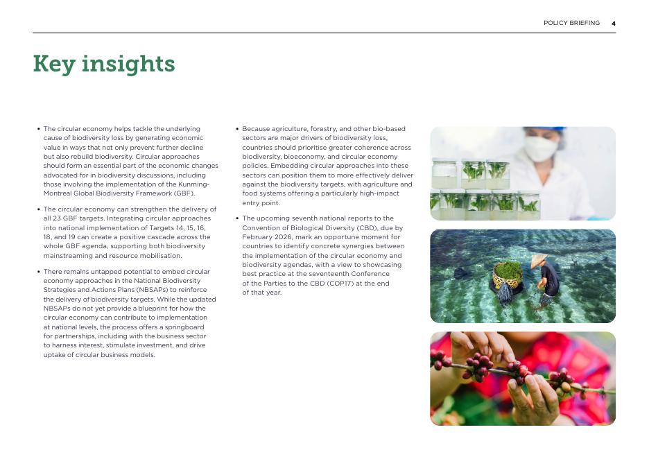 艾伦·麦克阿瑟基金会：2025年为自然缩放行动：循环经济如何帮助实现全球生物多样性框架报告（英文版）_第4页