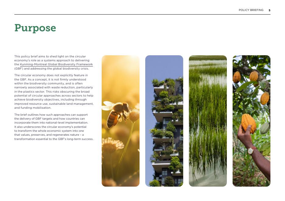 艾伦·麦克阿瑟基金会：2025年为自然缩放行动：循环经济如何帮助实现全球生物多样性框架报告（英文版）_第5页
