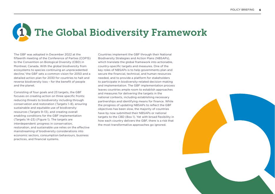 艾伦·麦克阿瑟基金会：2025年为自然缩放行动：循环经济如何帮助实现全球生物多样性框架报告（英文版）_第6页