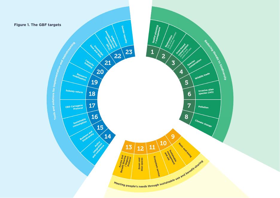 艾伦·麦克阿瑟基金会：2025年为自然缩放行动：循环经济如何帮助实现全球生物多样性框架报告（英文版）_第7页