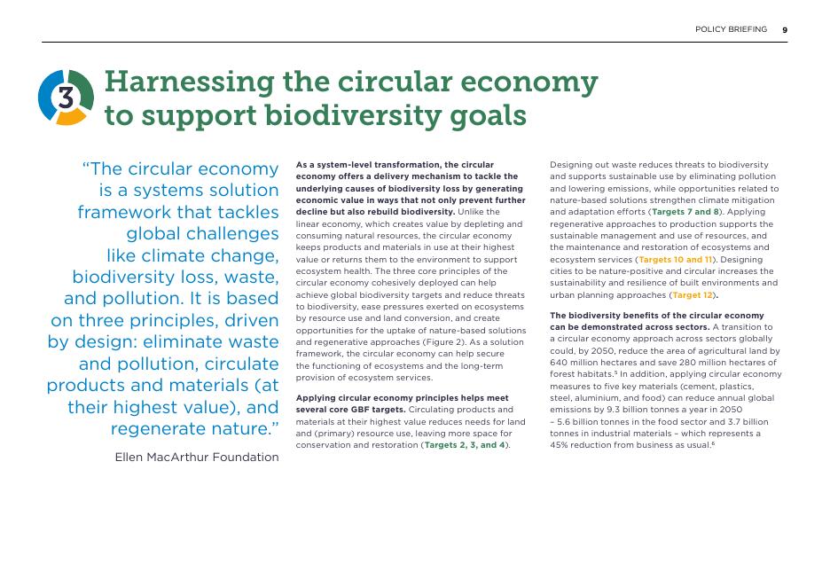 艾伦·麦克阿瑟基金会：2025年为自然缩放行动：循环经济如何帮助实现全球生物多样性框架报告（英文版）_第9页