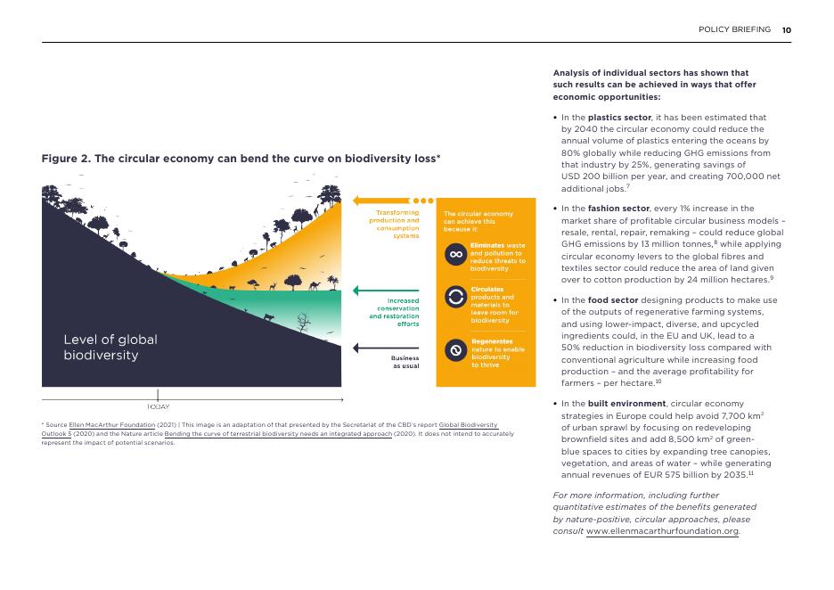 艾伦·麦克阿瑟基金会：2025年为自然缩放行动：循环经济如何帮助实现全球生物多样性框架报告（英文版）_第10页