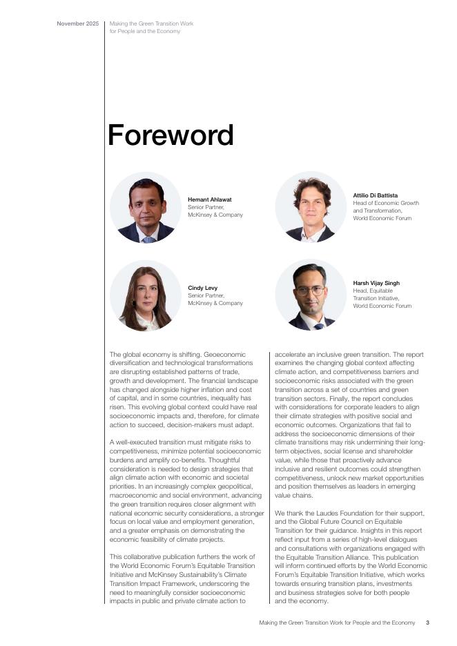 世界经济论坛：2025年推动绿色转型，为人民和经济造福报告（英文版）_第3页