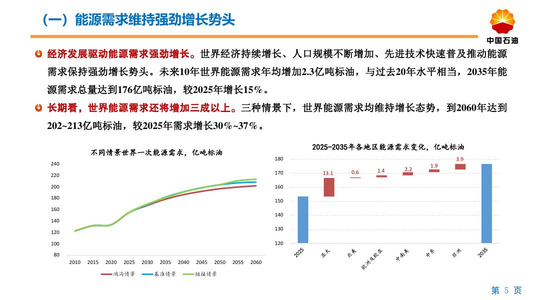 中国石油：2060年世界与中国能源展望报告（2025版）_第5页