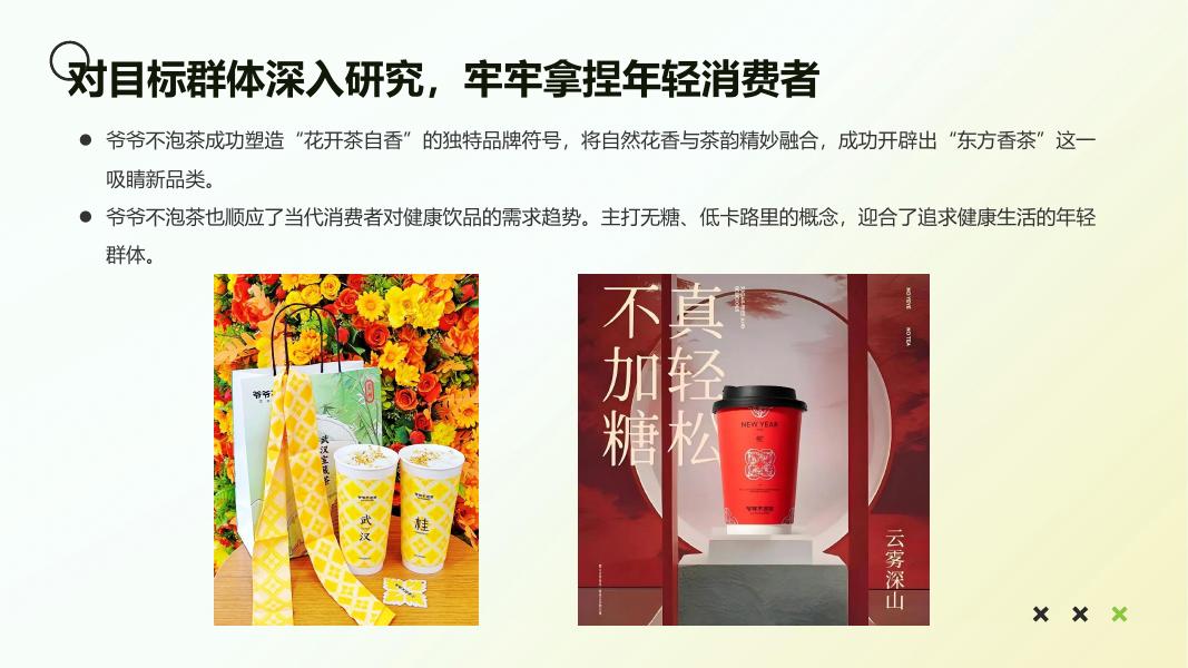 爷爷不泡茶品牌小红书平台推广方案_第6页