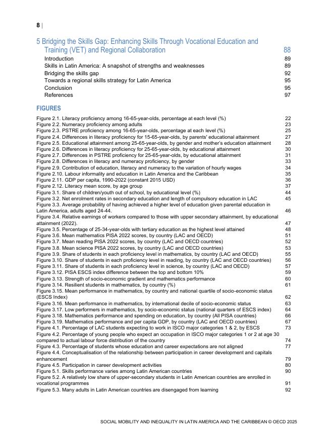 OECD经合组织：2025年拉丁美洲和加勒比地区的社会流动性与不平等报告（英文版）_第10页
