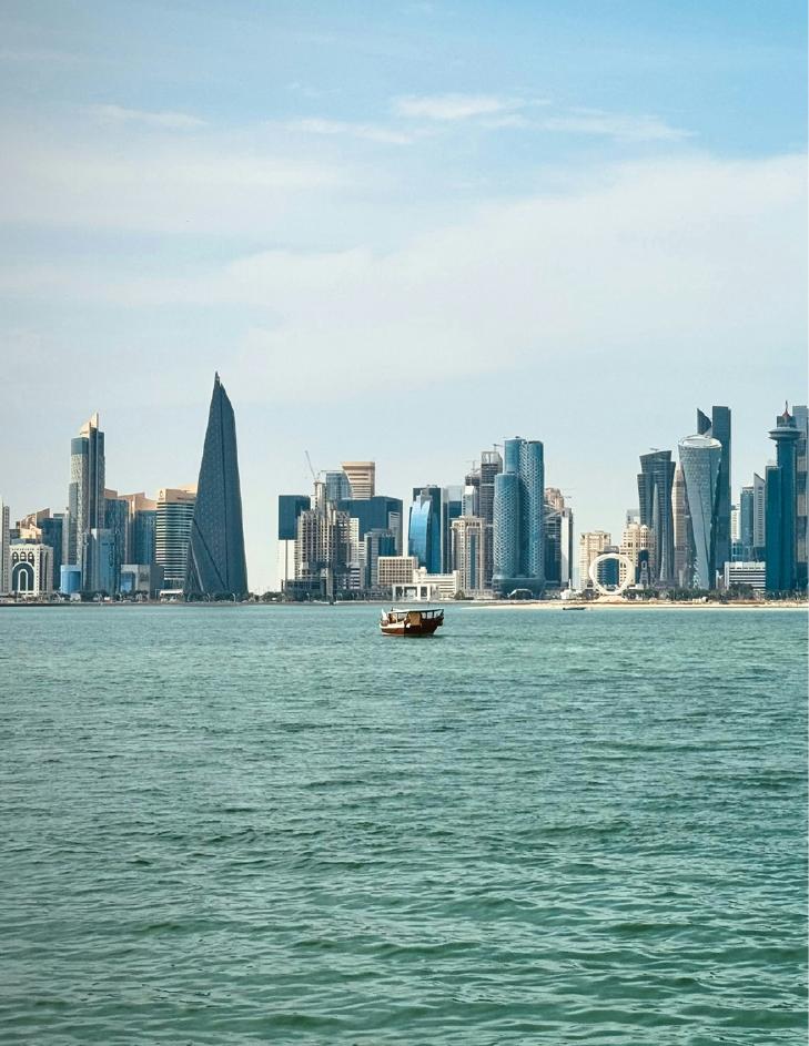 世界银行：2025年12月海湾经济更新报告-海湾的数字化转型 经济多样化的强大引擎（英文版）_第10页