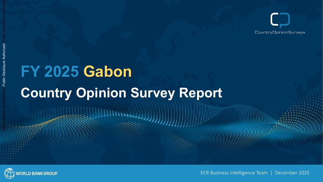 世界银行：2025财年加蓬国家意见调查报告（英文版）海报