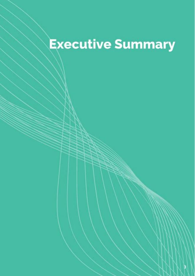 TASC：2025年在压力下的民间社会：政治、金融和治理压力对民间社会组织的影响评估报告（英文版）_第5页