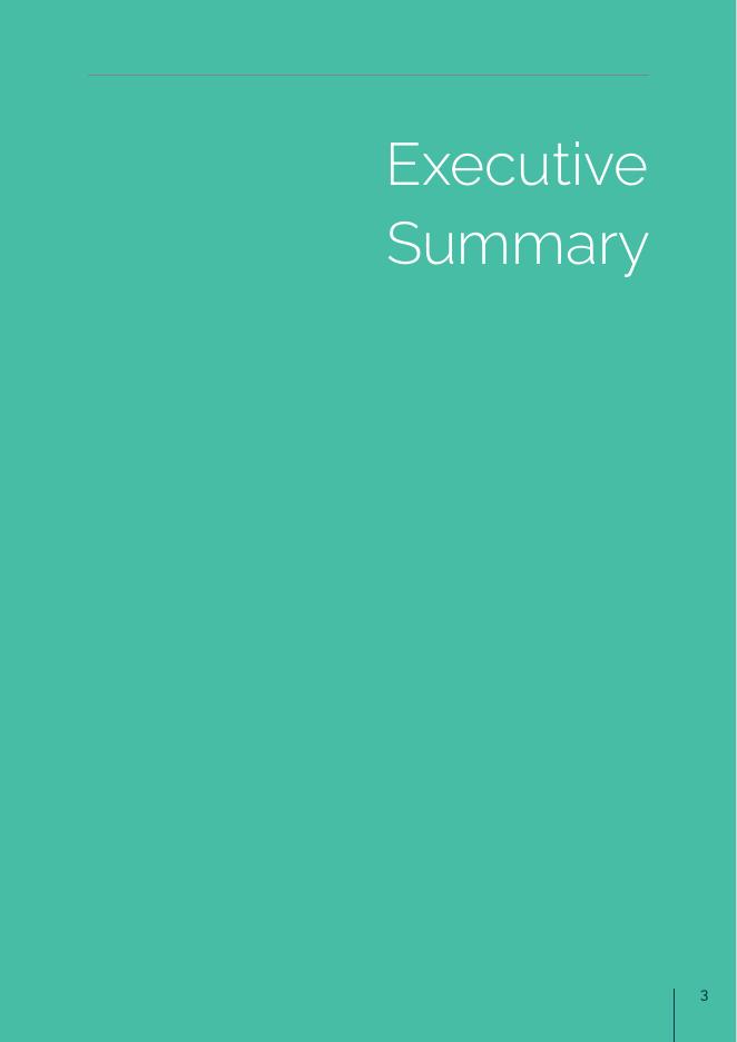 TASC：2025年教育工作者对DEIS计划的挑战、成功和机遇的看法报告（英文版）_第5页