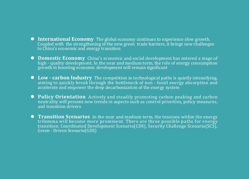 中国石油集团：2060年世界和中国能源展望报告（2025版）（英文版）_第8页