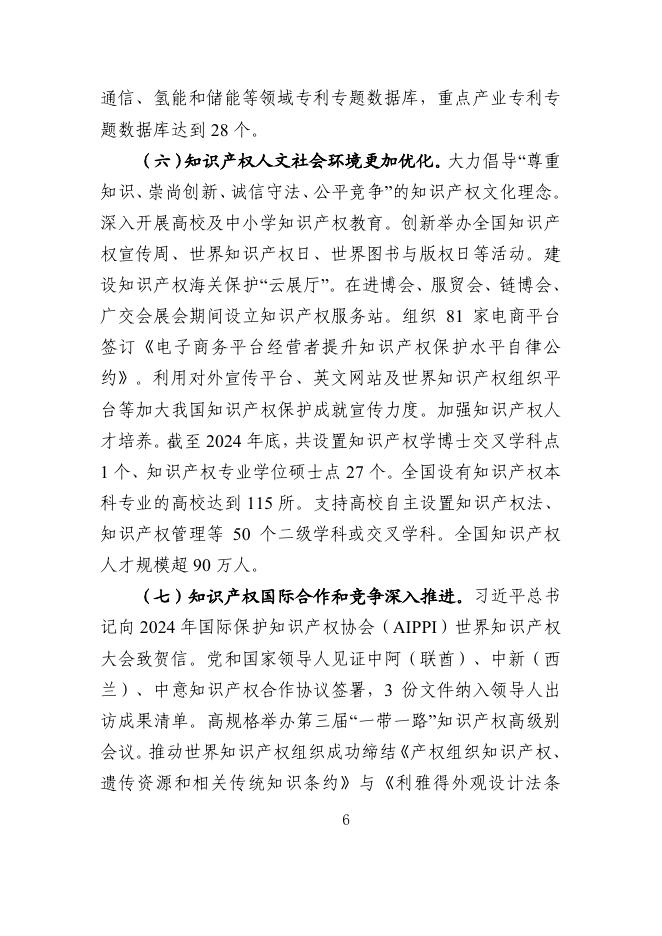 国家知识产权局：知识产权强国建设发展报告（2025年）_第9页