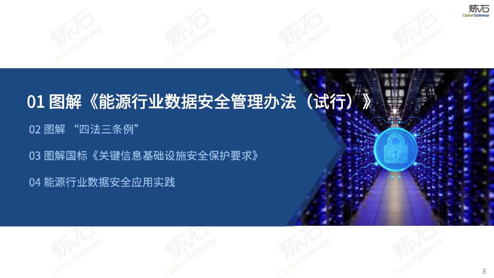 炼石网络：2025年能源行业数据安全管理办法（试行）_第3页